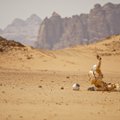 Išaiškėjo, kokiame filme galima išvysti tikroviškiausius Marso vaizdus kino istorijoje