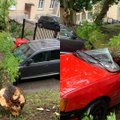 Audra niokojo Vilnių: nugriuvęs medis sutraiškė kieme stovėjusį automobilį, dar du apgadino