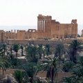 Palmyros gyventojai sugrįžta į saugų, tačiau nuniokotą miestą