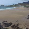 Gamtos išdaigos: vakarinė Airijos pakrantė vėl virto smėlio paplūdimiu