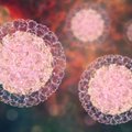 Čekijoje gripo aukomis jau tapo 12 žmonių