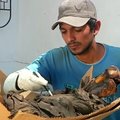 Peru archeologai aptiko ikikolumbinės civilizacijos mumijų