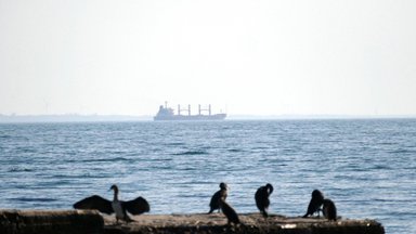 Reuters: Украина сорвала сделку по безопасности Черного моря