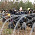 Pranešama apie Lenkijos ir Baltarusijos pasienyje įstrigusią migrantų grupę