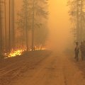 Arktyje užfiksuotas naujas temperatūros rekordas