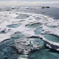 Arktį kaitina naujas šaltasis karas