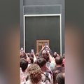 Luvre – išpuolis prieš žymųjį „Mona Liza“ paveikslą: vyras sviedė tortą