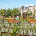 Savaitgalį atidaromas dar vienas atnaujintas Kauno parkas