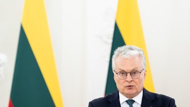 Президент Литвы: Грузия рискует перспективой членства в ЕС