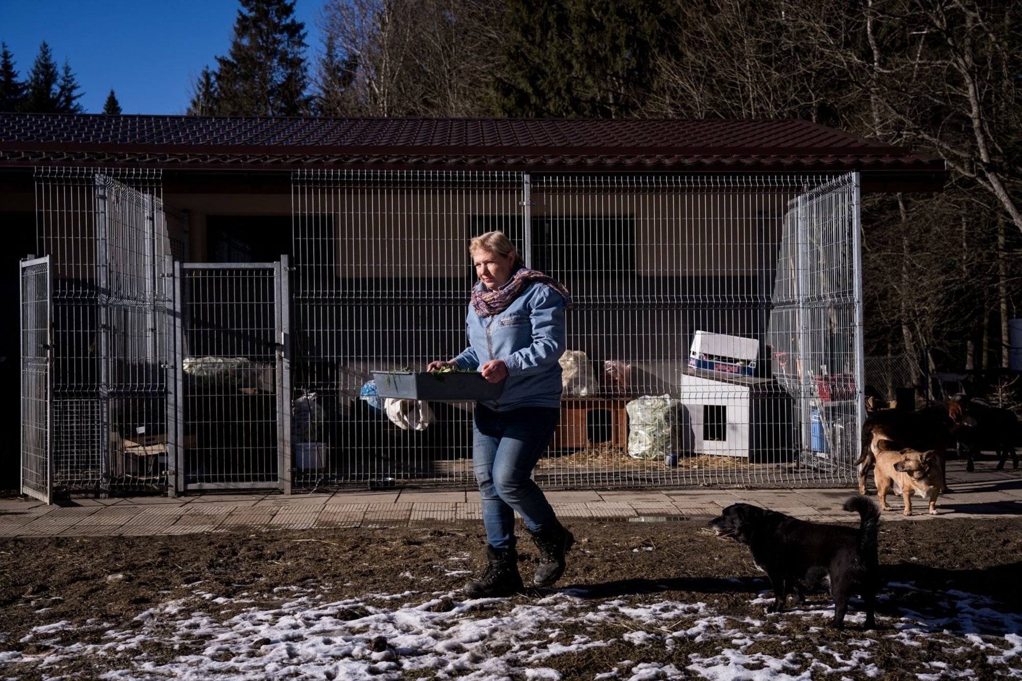 Pakeliui į pajūrį rastas šuo gyvenimą apvertė aukštyn kojomis: kartais ...