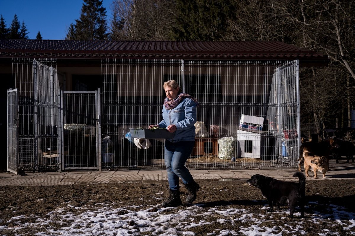 Pakeliui į pajūrį rastas šuo gyvenimą apvertė aukštyn kojomis: kartais ...