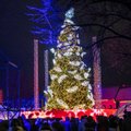 Kaune įžiebta pagrindinė miesto Kalėdų eglė