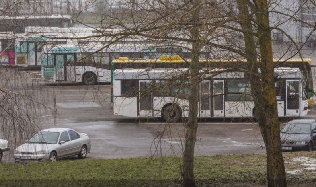 Panevėžio autobusų parkas