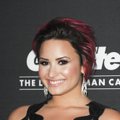 Internete paviešintos pikantiškos D. Lovato nuotraukos: dainininkė lieja apmaudą