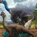 Mokslininkai rado neįtikėtiną fosiliją: tai atliekančio dinozauro dar nebuvo aptikę