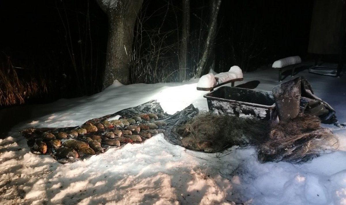 Brakonieriaus laimikis AAD nuotr.