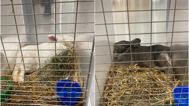 Nejaukus reginys Vilniaus prekybos centre privertė lankytoją imtis veiksmų: čia nėra jokios pramogos