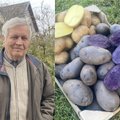 79-erių šilutiškis pasidalino savo daržo stebuklu: tokios neįprastos bulvės – tikras sveikatos šaltinis