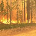 Sibire dega šimtai pastatų, gauta pranešimų apie aukas