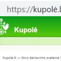 Išrinktas gražiausias 2022 metų lietuviškas interneto vardas: juo tapo kupolė.lt