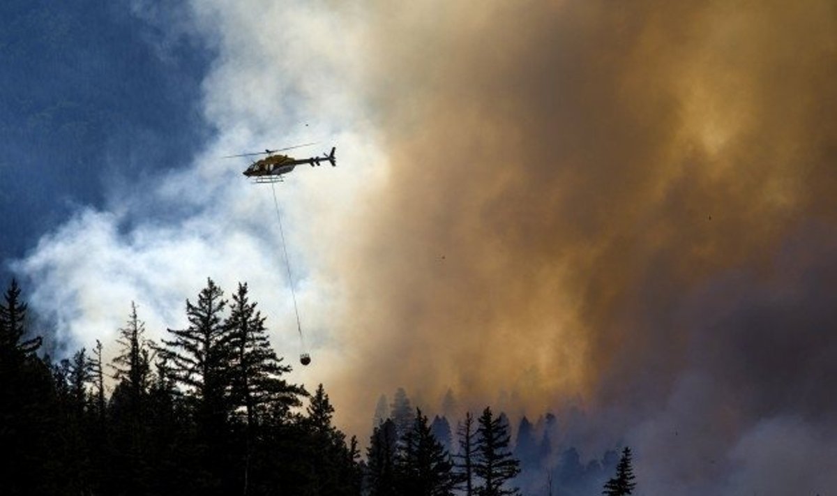 Miško gaisras Kolorado valstijoje