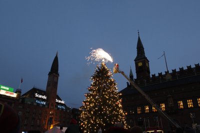 Kalėdų eglė Kopenhagoje
