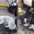 Širdį virpinantis vaizdas: nufilmavo, kaip Ukrainos ugniagesiai gaivina iš gaisro išgelbėtą katytę