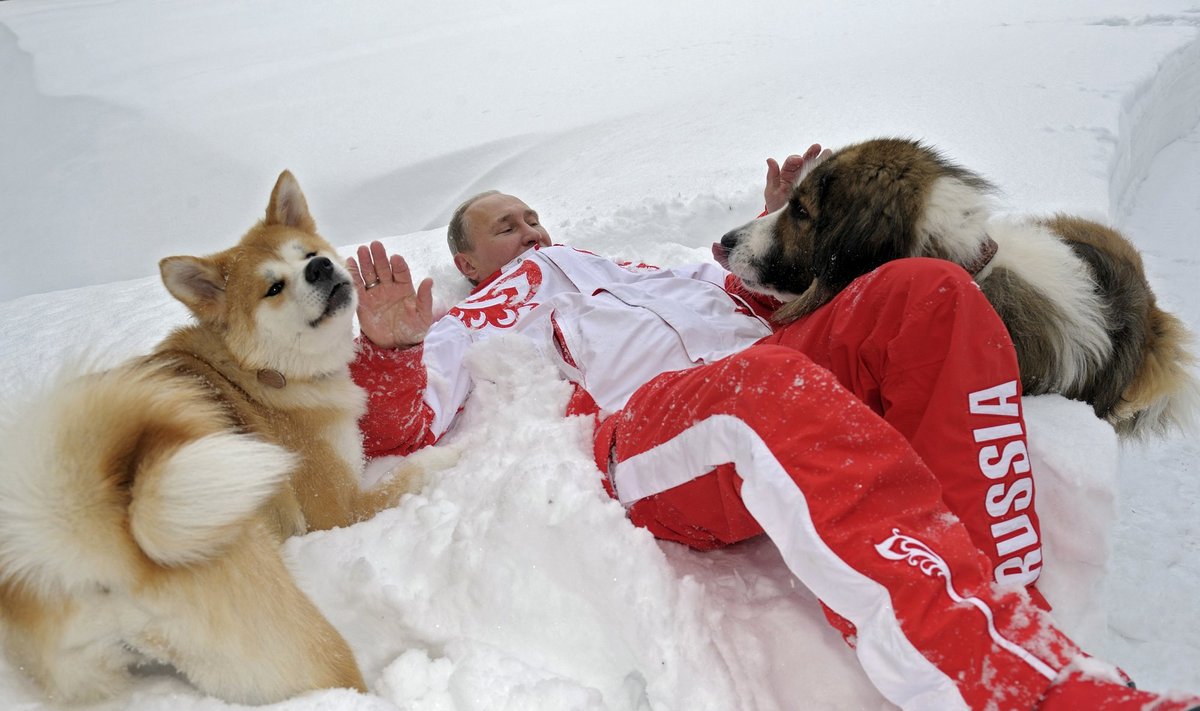 V.Putinas žaidžia su šunimis