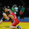 Stankevičius baigė pasirodymą pasaulio čempionate