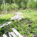 Iškirtęs medžius ūkininkas gavo 4 tūkstančių litų baudą