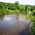 Vandens kokybė kelia rūpesčių Dubysos upėje ir dar keliuose vandens telkiniuose