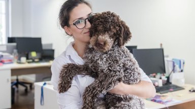 Skrydžių bendrovė darbuotojų nevaržo: nuo streso jie ginasi šunimis