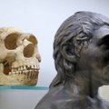 Neandertaliečiai išnyko prieš 40 000 metų, tačiau jų ir mūsų DNR didele dalimi sutampa ir sukelia pavojingas ligas