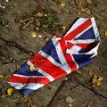 Liūdniausios skyrybos: kaip britų sprendimas smogs Europos Sąjungai ir D. Britanijai