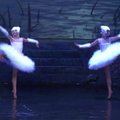 Ukrainos teatre – netradicinis „Gulbių ežeras“ be puantų