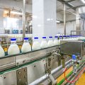 Dairy producers start feeling impact of rising US export duties