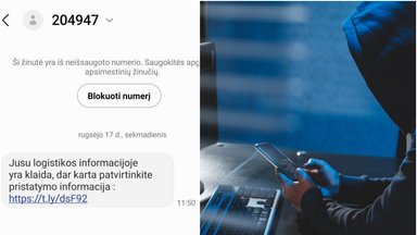 Lietuvos gyventojus persekioja sukčių SMS žinutės: prašo atnaujinti siuntos adresą, siunčia kenksmingas nuorodas