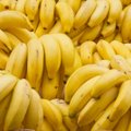 Įdomūs faktai apie uogas: ar žinojote, kad netgi bananus turėtume vadinti uogomis?