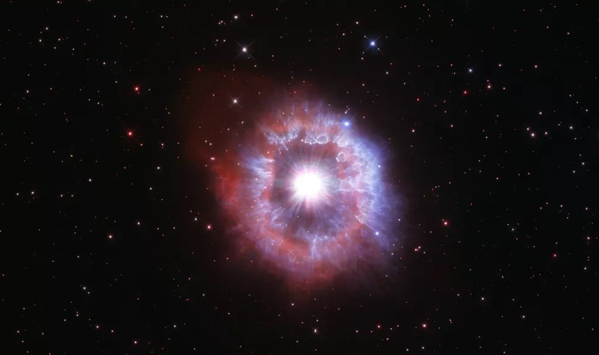 Supernovos sprogimas. NASA, ESA, STScI/The University of Hong Kong nuotr.