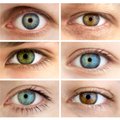 Mokslininkai nustatė, kad akių spalva lemia žmogaus jautrumą