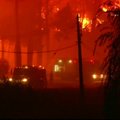 Dėl miškų gaisrų Čilėje paskelbta katastrofiška padėtis