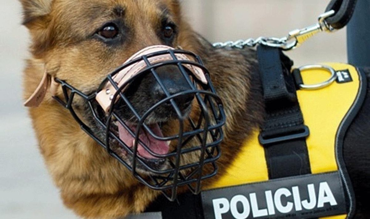 Kauno policijos šuo