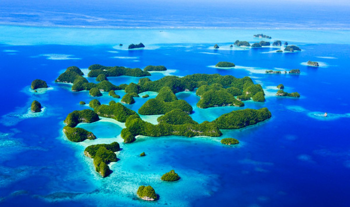 Rock salos, Palau