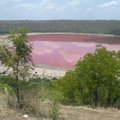 Vietiniai gyventojai – pasimetę: per kelias dienas ežeras nusidažė rožine spalva