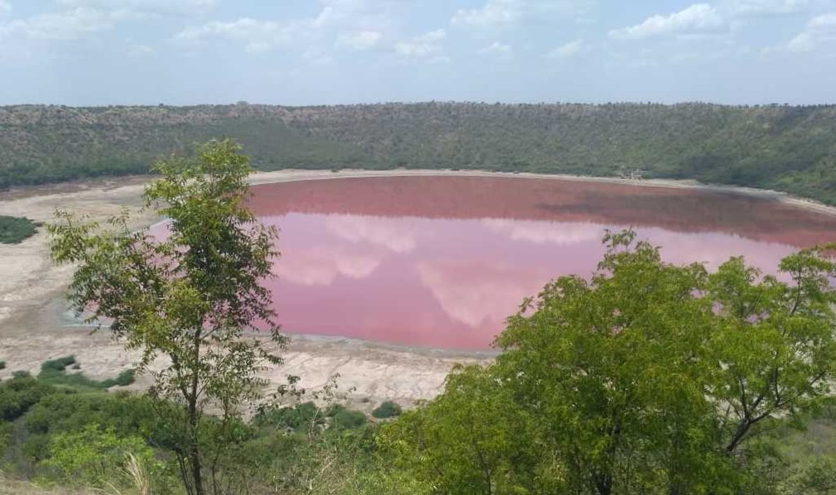 Rožine spalva nusidažęs ežeras