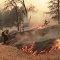 Kalifornijoje liepsnojantis gaisras virto antru didžiausiu per valstijos istoriją