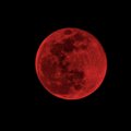 Ruoškitės: šiandien bus galima stebėti ilgiausią šimtmečio „kruvinąjį Mėnulį“