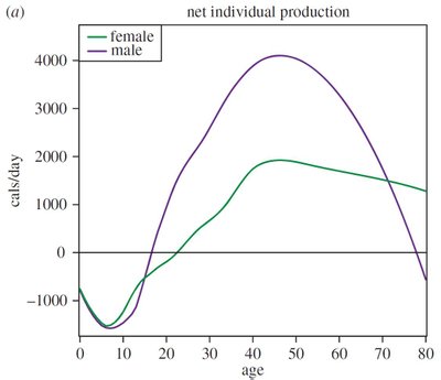 Tsimane genties narių produktyvumas pagal lytį (P. L. Hooperio ir kt. iliustr.)