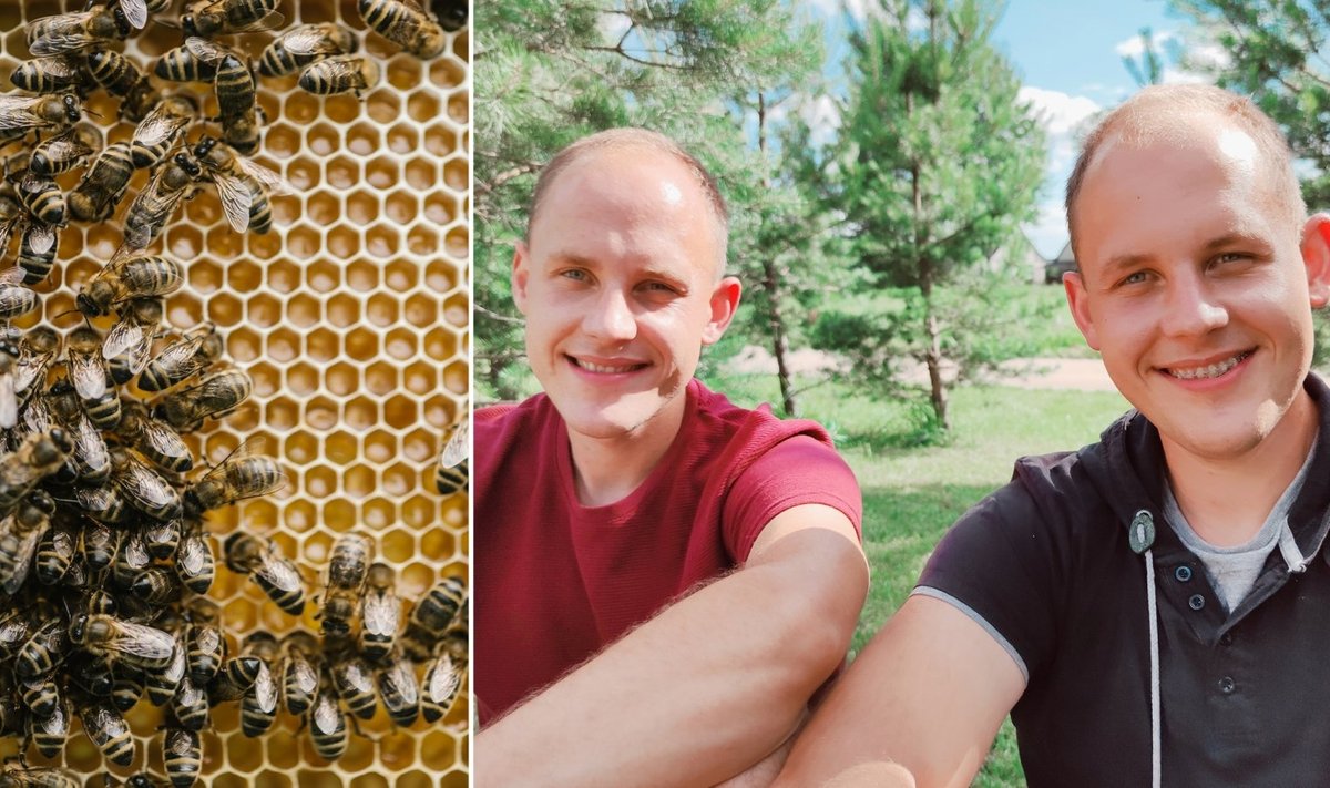 Alfas live. Nepaprastas bičių gyvenimas ir kokių dar dalykų nežinome apie medų?