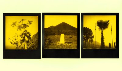 Darius Vaičekauskas, polaroidų paroda „black_yellow_darkroom“ KKKC
